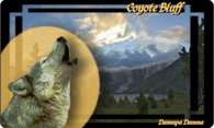 Coyote Bluff 2004 logo