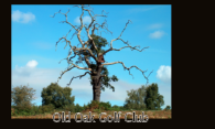 Old Oak Tree Golf Club logo