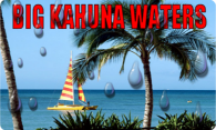 Big Kahuna Waters logo