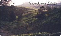Casa Lomo Links logo