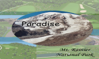 Mt. Rainier - Paradise 2006 logo