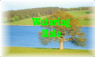 Watering Hole logo