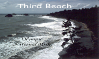 Olympic Coast - Third Beach logo