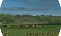 Atlantic Elite Gold Cup logo