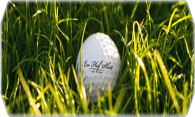 Bro Hoff Slot Golf Club logo