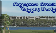 Singapore Oracle logo