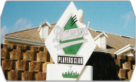 Diamond Players Club 08 logo