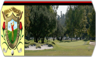 Brookside Golf Club (Stingers) logo