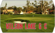 Wilson Lake GC (Stingers Golf Club) logo