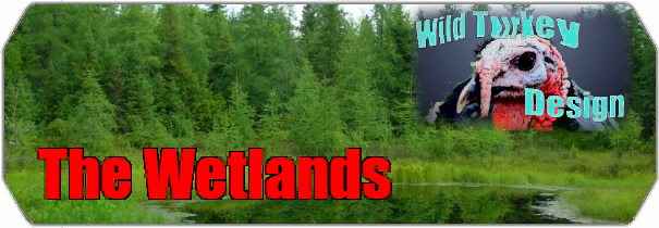 The Wetlands logo